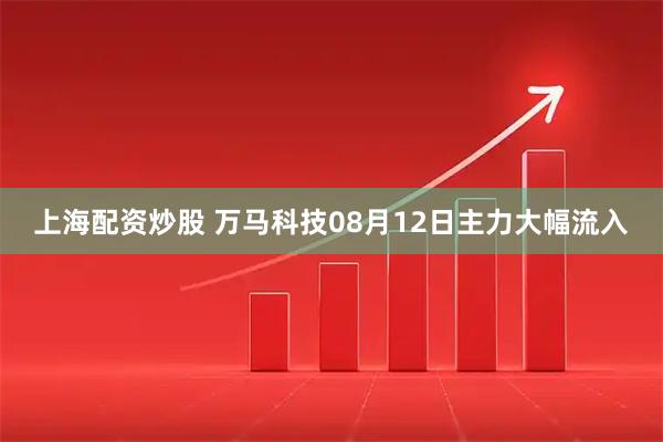 上海配资炒股 万马科技08月12日主力大幅流入
